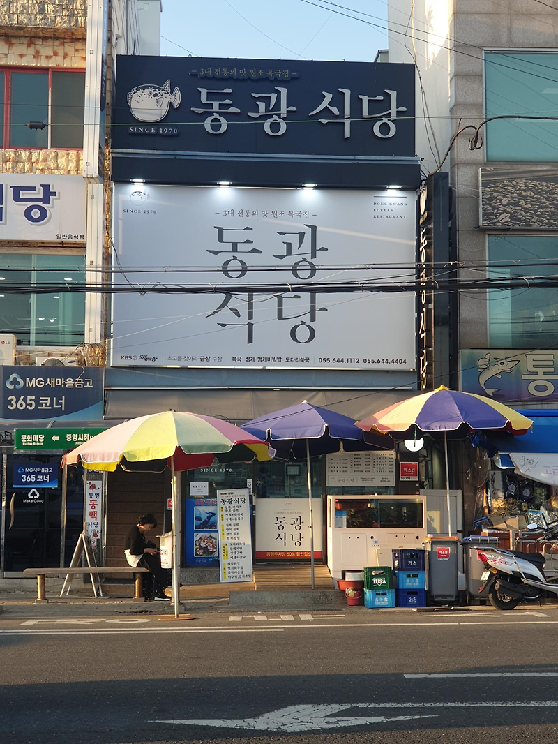 통영 맛집/ 중앙동 복국 맛집 『동광식당』성게비빔밥