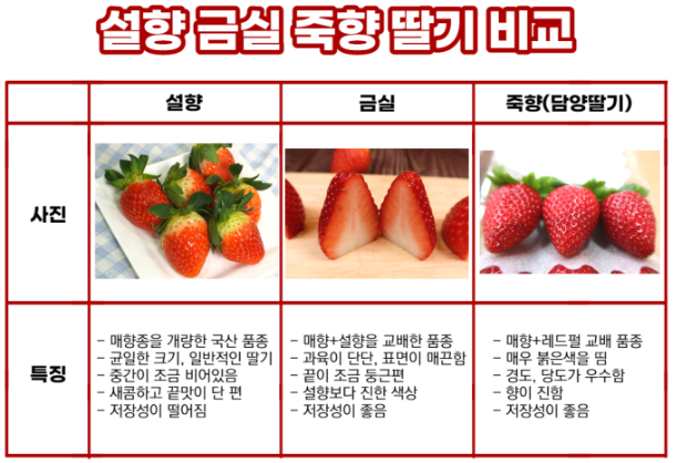 딸기 종류 가격 효능 비교 정리 (만년설딸기,아리향,킹스베리,설향,금실,죽향)
