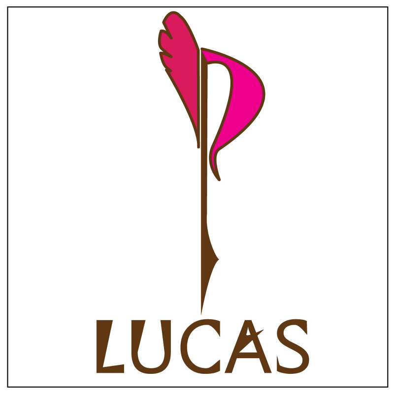 Lucas Magazine의 공식 로고가 생겼습니다