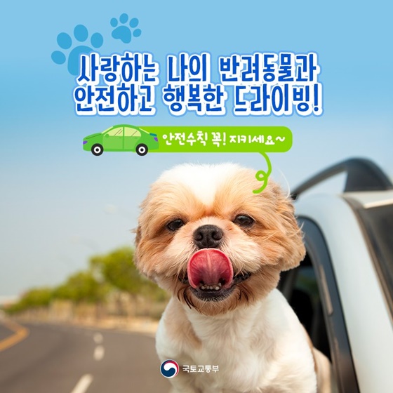 [카드뉴스] 반려동물과 함께하는 자동차 안전수칙