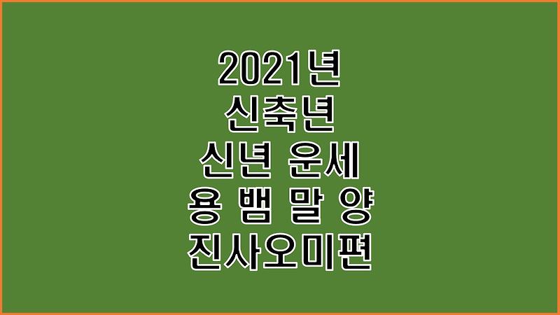 2021년 신축년 신년 운세 사주 용 뱀 말 양띠 진사오미편
