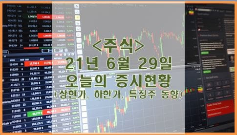 [주식] 21년 6월 29일 오늘의 증시현황 (상한가, 하한가, 특징주)