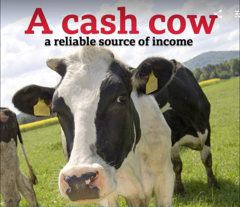 [영어]  a cash cow