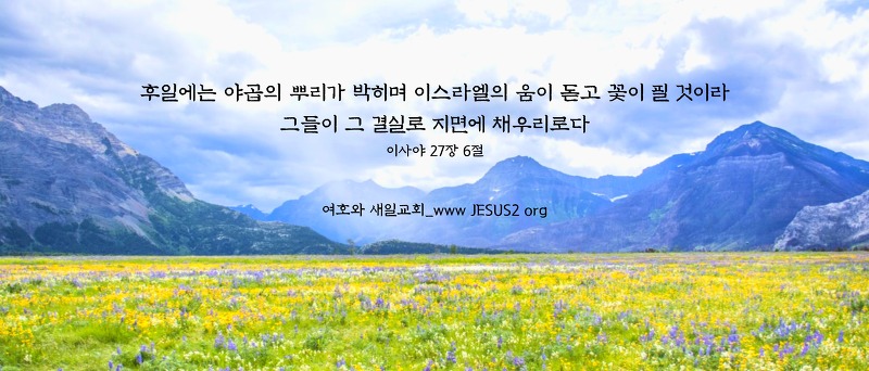 새일교회 조직신학 | 구속론 - 6. 천년 안식 시대