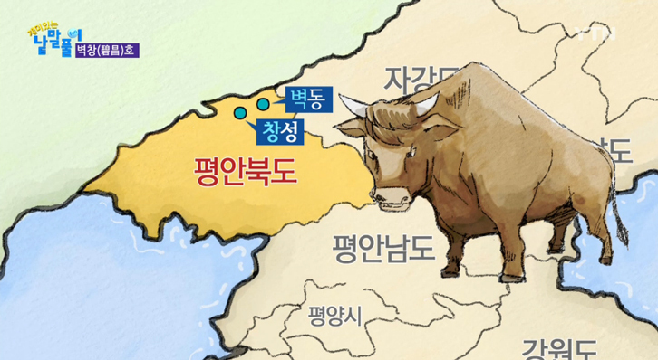 고집불통 벽창호 , 북한 지방의 소(牛)에서 유래한 재밌는 어원