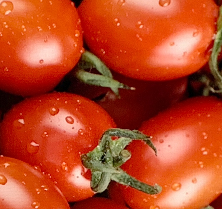 식품 속의 빨간 보석 토마토