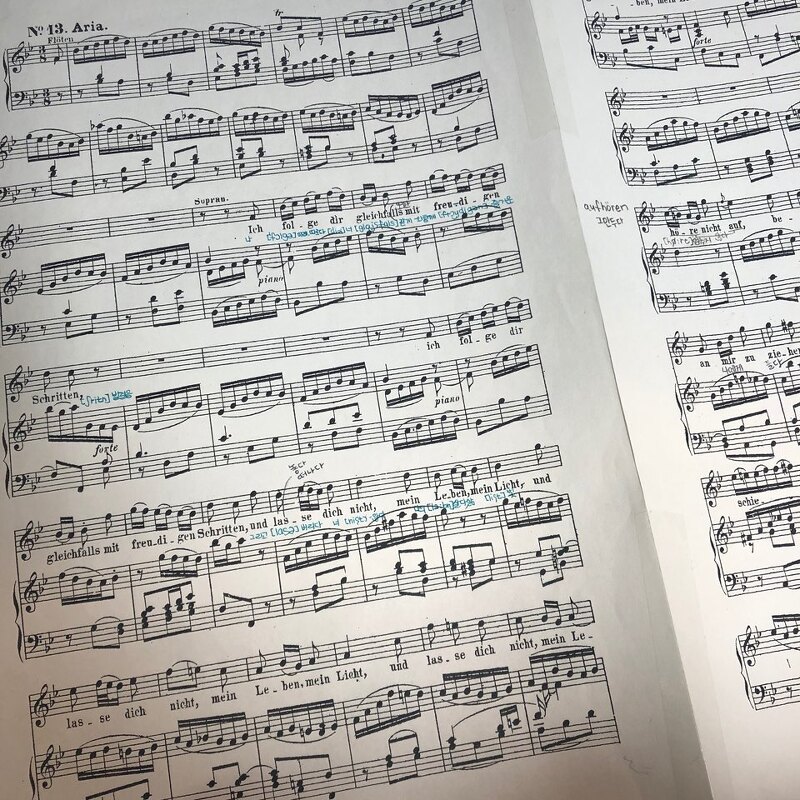 바흐 오라토리오: Johannes Passion BWV 245 - 13.Ich folge dir gleichfalls mit freudigen Schritten