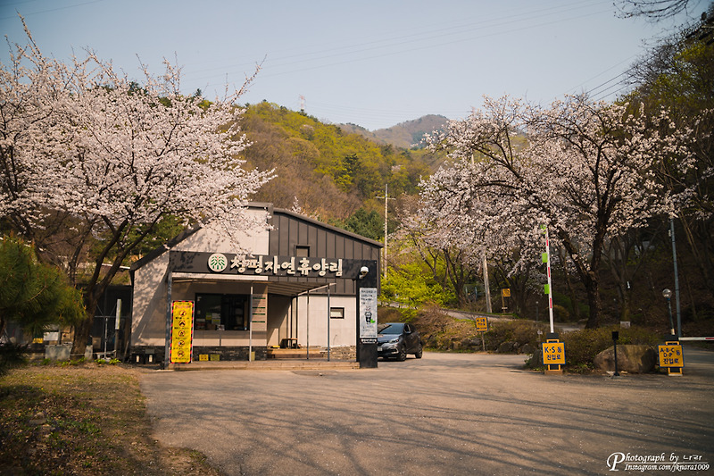 경기도 당일치기 여행 - 서울에서 가장 가까운 휴양림 