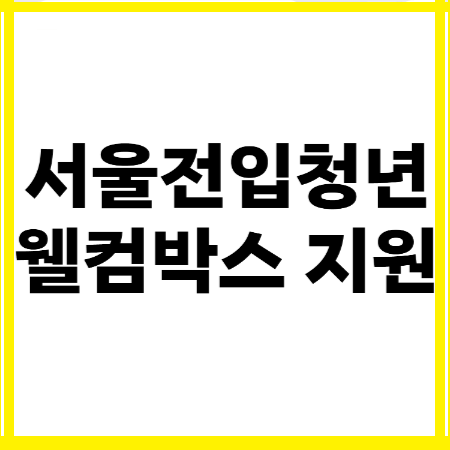 서울전입청년 웰컴박스 지원 제출서류,신청방법(~10월5일까지)