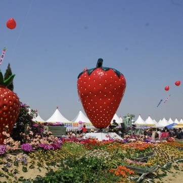 2023 논산 딸기축제 프로그램 일정 및 정보공유
