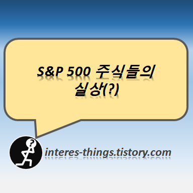 S&P 500 주식들의 실상(?)