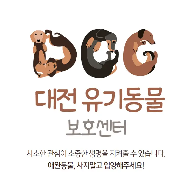 대전 유기동물보호센터 강아지 고양이 유기 동물 보호소 1곳