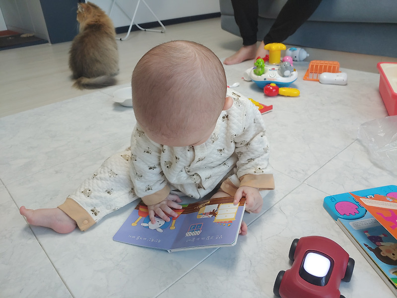 책육아 시작! 7개월 아기 핀덴카로 핀덴베베 읽어주기!