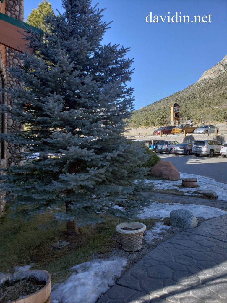 Mount Charleston Resort – Only Minutes from Las Vegas