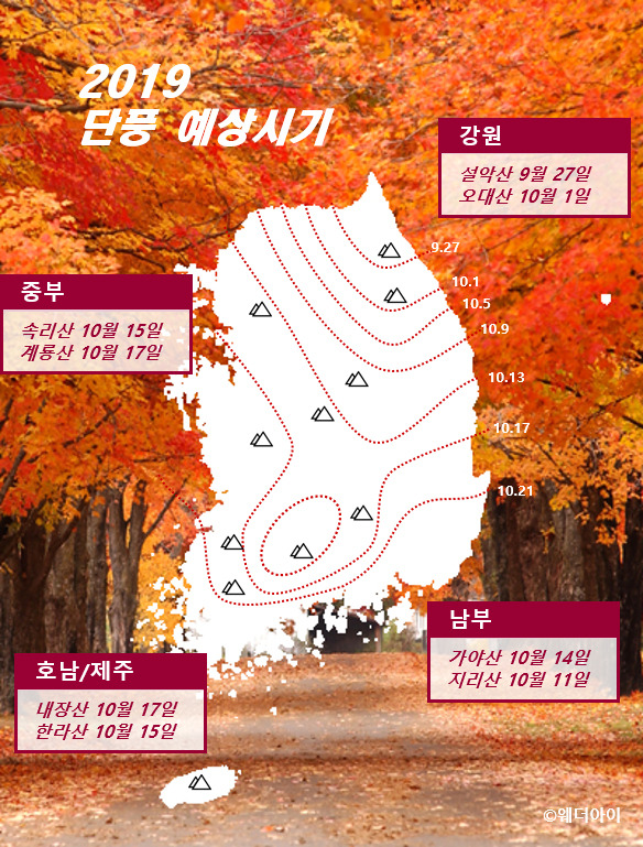 2019년 설악산 내장산 오대산 등 전국 명산 첫 단풍 시기 및 절정 시기