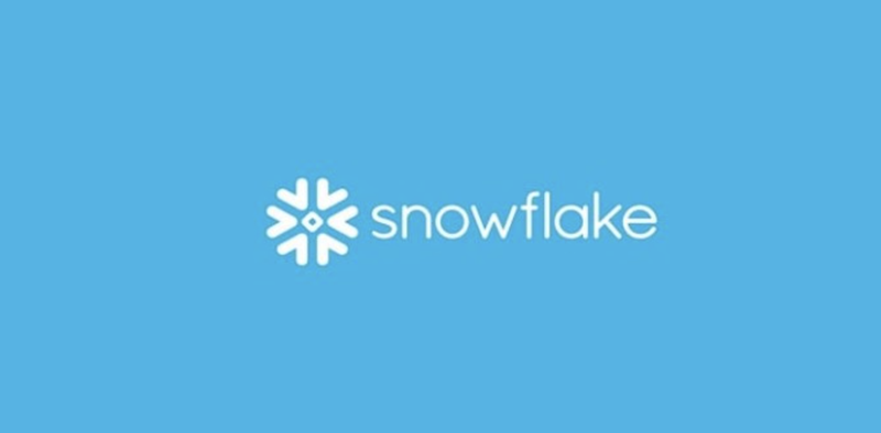 스노우플레이크(Snowflake) 투자전략, 버크셔 해서웨이의 이례적인 투자기업