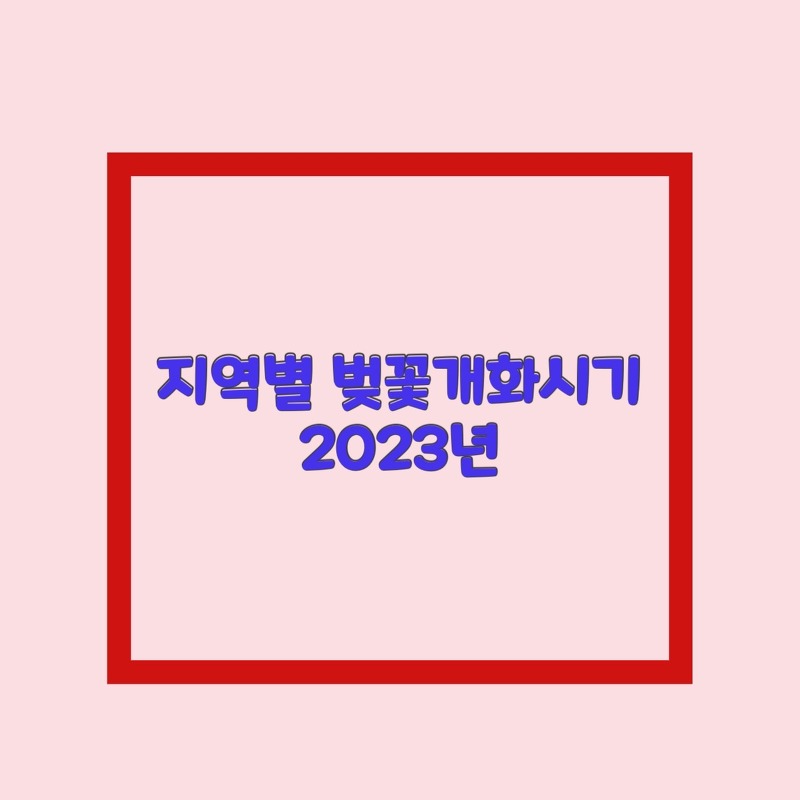 2023 벚꽃 개화시기 알아보자 (ft.서울 경주)