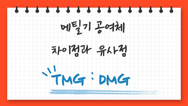 TMG(트리메틸글리신)와 DMG(디메틸 글리신)의 차이점