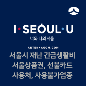 서울시 재난 긴급생활비 서울사랑상품권 / 선불카드 사용처, 사용 불가 업종 정리