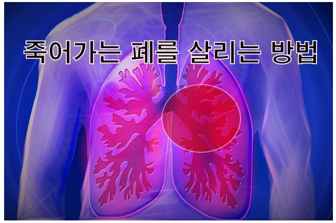 죽어가는 폐를 정화시키는 방법