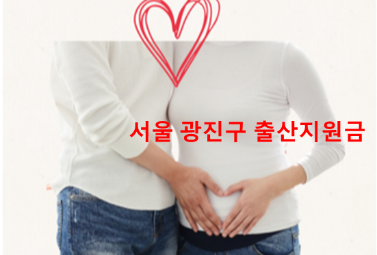 서울 광진구 출산지원금과 첫만남이용권 정리