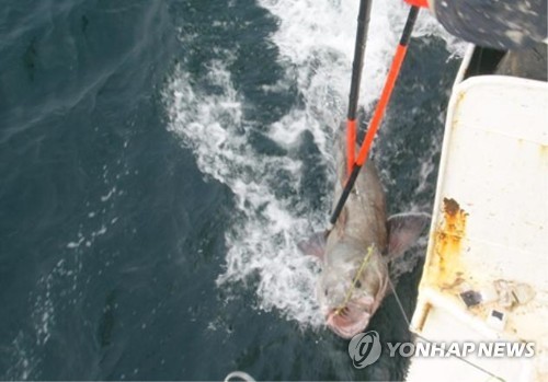 미국이 지정한 '예비 불법 어업국'..이유는?
