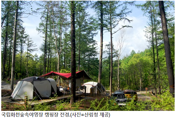 휴양림 숙박·야영장도 다시 문연다…13일부터 운영 재개