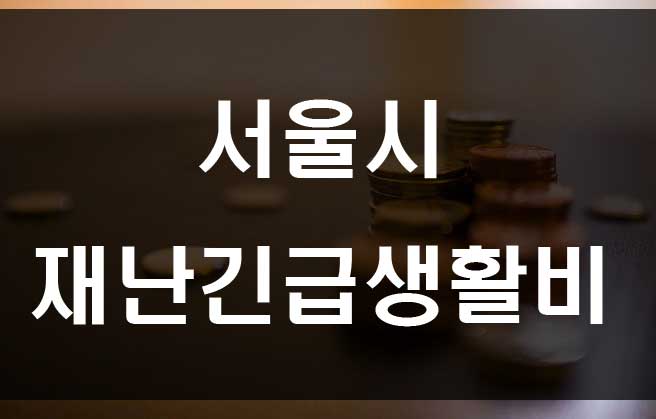 코로나 서울시 재난 긴급생활비 지원 조건 및 지원금액