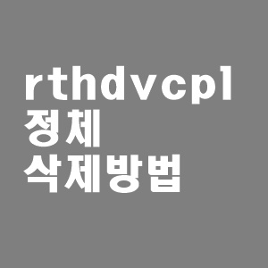 rthdvcpl 정체와 삭제방법