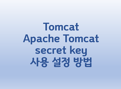 [Tomcat] Apache Tomcat secret key 사용 설정 방법
