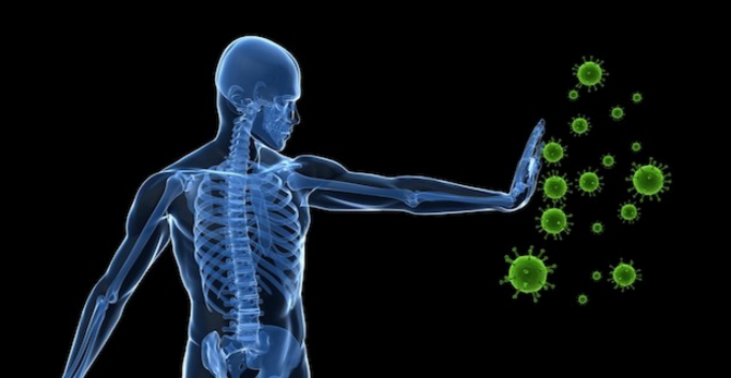 면역 체계를 향상시키는 9가지 방법 (코로나 19)