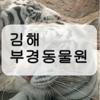 아이들과 가볼만한곳 김해 부경동물원