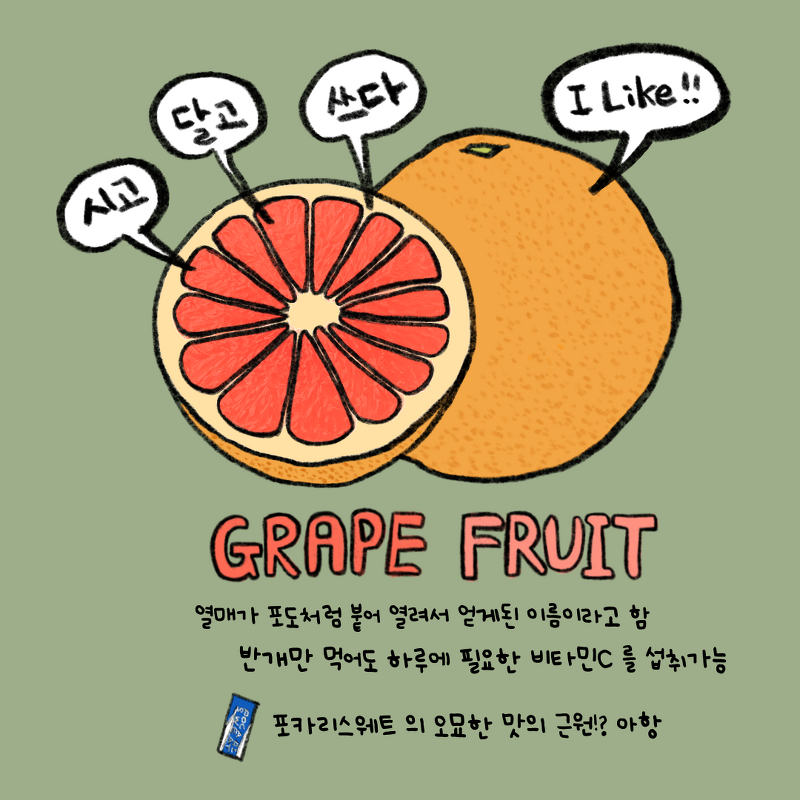 [과일 영양 정보] 자몽의 효능 및 칼로리 - GRAPE FRUIT