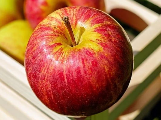 사과 다이어트 비타민c 효과 좋네요!