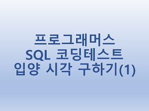 [프로그래머스] SQL 코딩테스트 입양 시각 구하기(1)