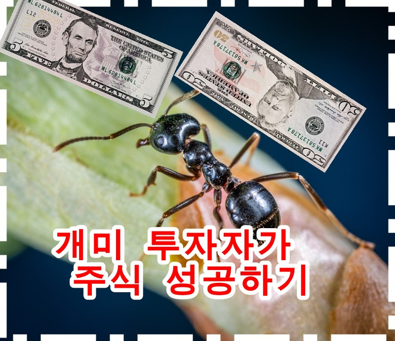 짐로저스가 말하는 투자전망과 주식투자 하는 법