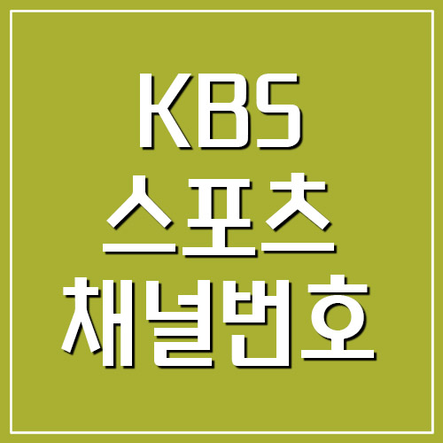 KBS 스포츠 채널번호 안내