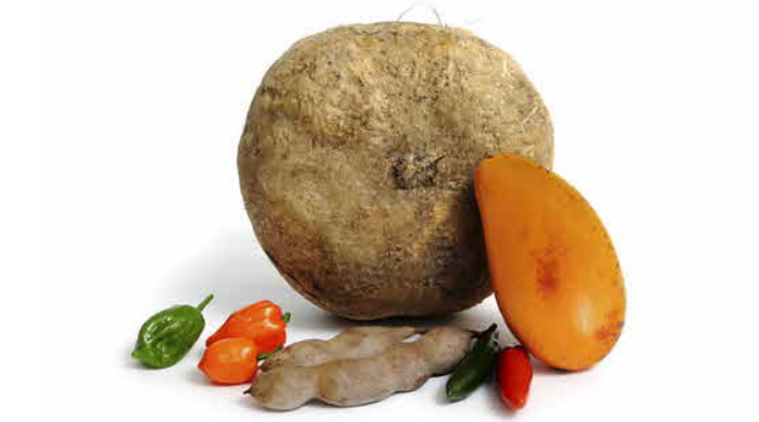 히카마(얌빈,멕시코 감자) 효능/먹는법/보관방법
