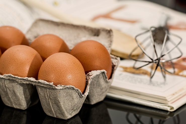 청정 제주 무항생제 계란 -  귀뚜라미 먹은 닭이 낳은 달걀
