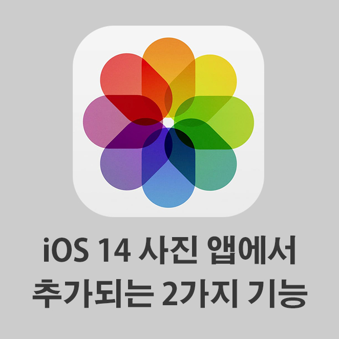 iOS 14에서 사진앱의 변화 (사진에 설명추가, 더 커진 화면 확대 기능)