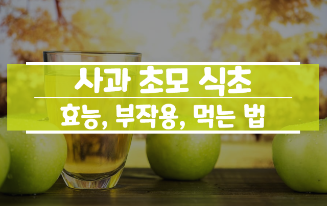 사과 초모 식초 먹는법