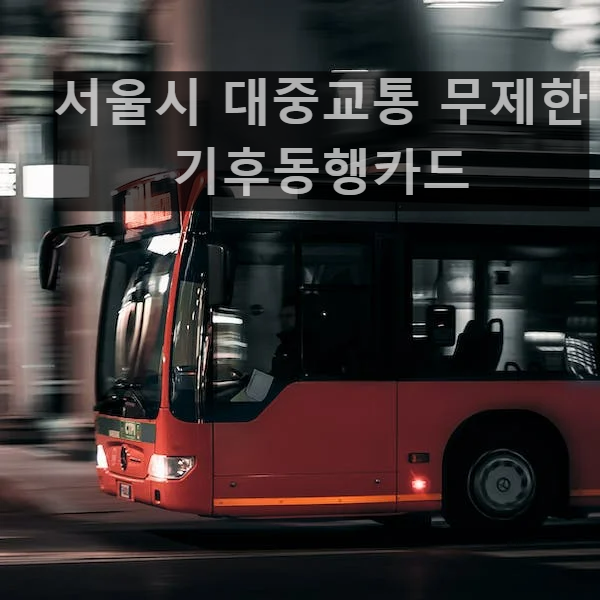 서울시 대중교통 무제한 '기후동행카드'