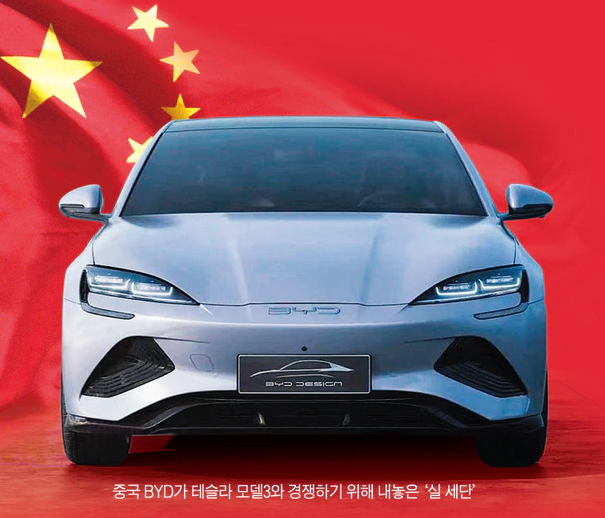 미래 EV 시장 속 중국 vs 한국, 과연 승자는?