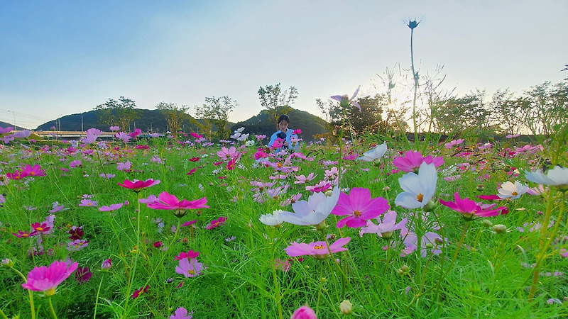 서울근교 파주주변 간단한 여행을 원한다면 호로고루만 있는게 아니다!사진맛집 율곡습지공원 나들이를 가보자!!