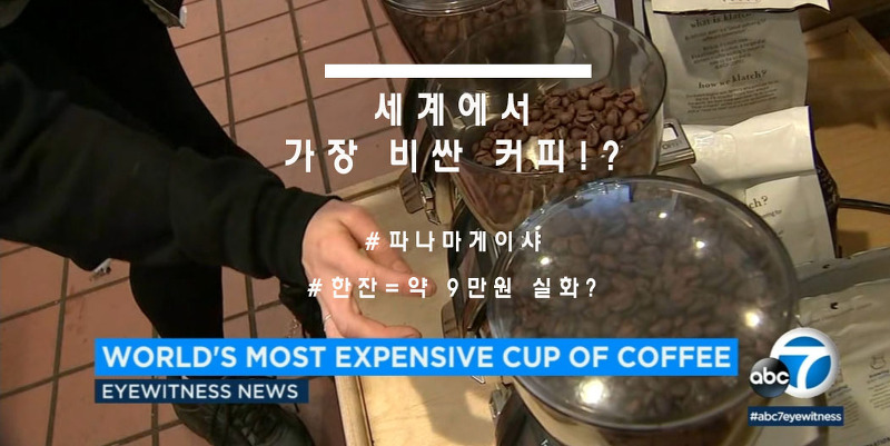 세계에서 가장 비싼 커피 (feat. 파나마게이샤)