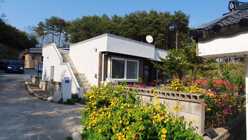 서울 직장인이 강릉에서 에어비앤비 할 단독주택 알아보는 방법 (부제 : 마당집 처음 만난 이야기)