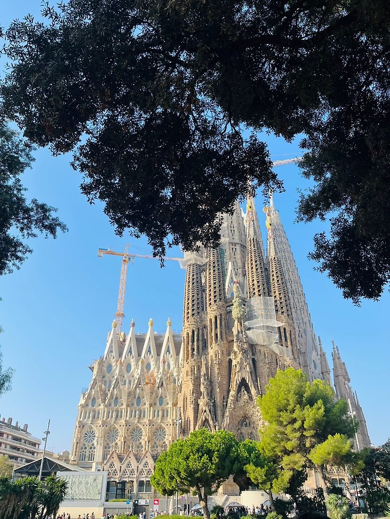 스페인 바르셀로나 6박 7일 여행 : 사그라다 파밀리아 성당에 대한 모든 정보를 공유합니다!