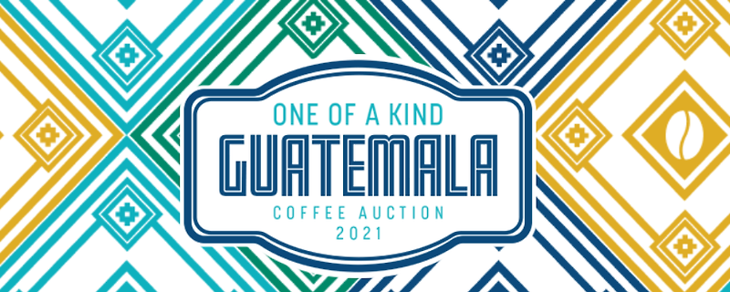ONE OF A KIND GUATEMALA  AUCTION 2021(2021 Anacafe Auction 결과)