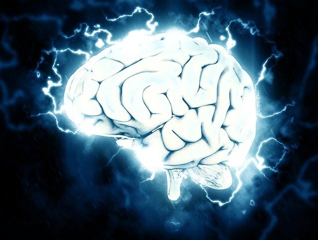 뇌경색 자가진단 방법! 뇌경색이 보내는 적신호는 과연 무엇일까?