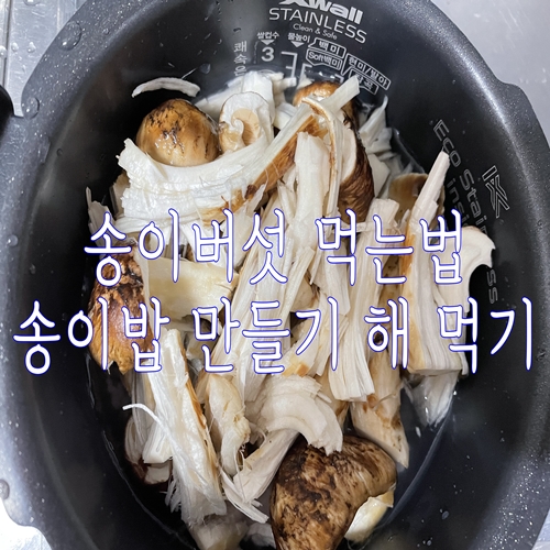 송이버섯 먹는법 송이밥 만들기 해 먹기
